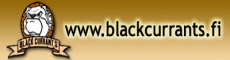 blackcurrants Bulldogs, English bulldog breeder in Finland ou Finlande