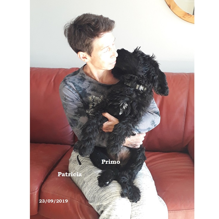 puppies portuguese water dog